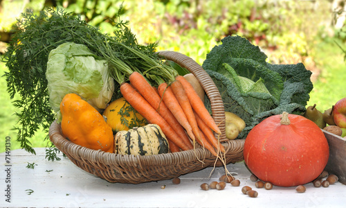 panier de légumes sur table dans jardin