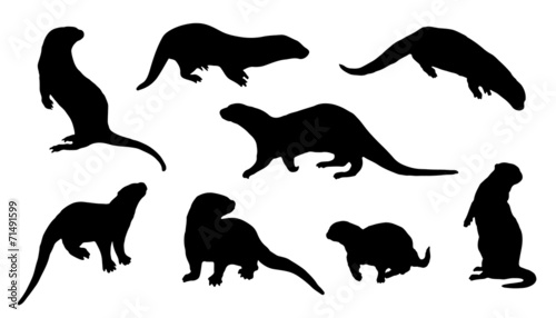 otter silhouettes photo