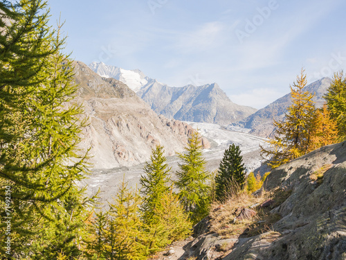 Riederalp, Riederfurka, Dorf, Aletschwald, Gletscher, Schweiz