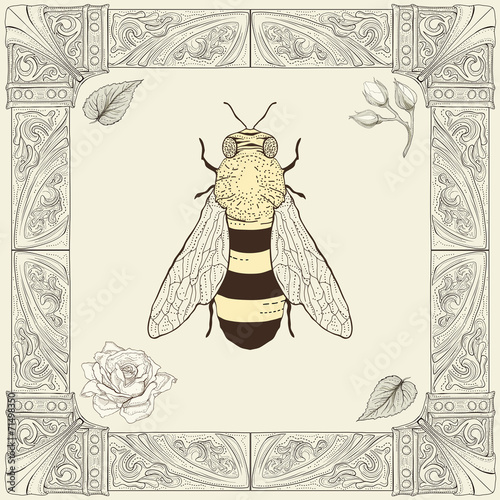 bee and rose drawing