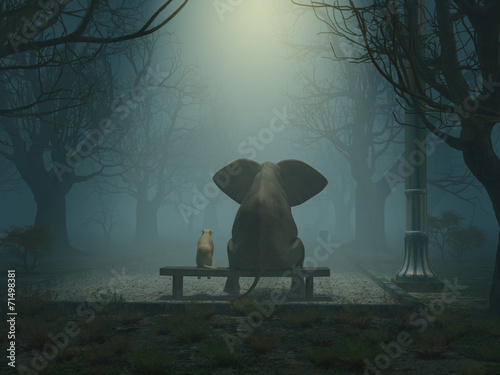 Photography elephant and dog sitting in a gloomy park