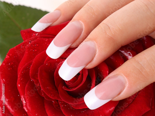Woman's hand holding rose.