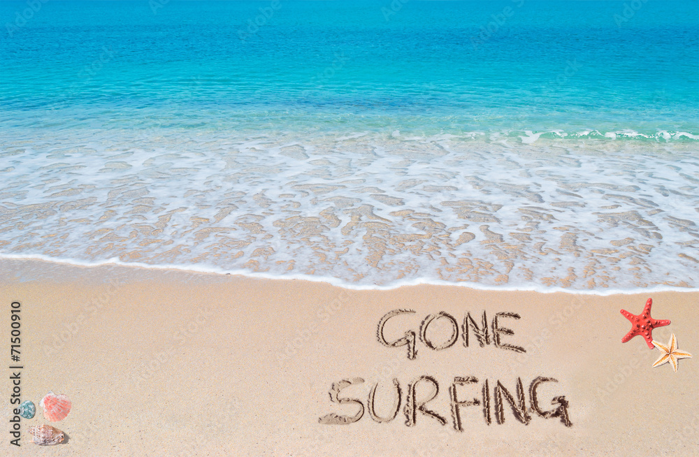 Fototapeta premium gone surfing