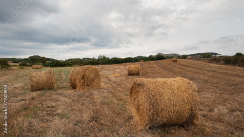 Balas de paja