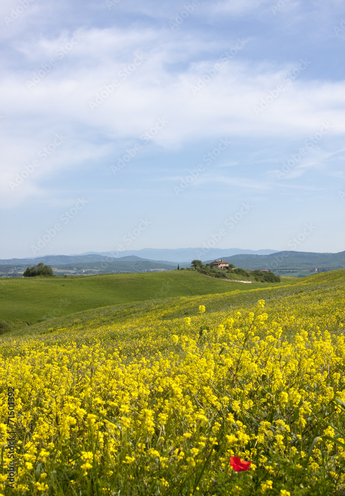 Toskana im Frühling