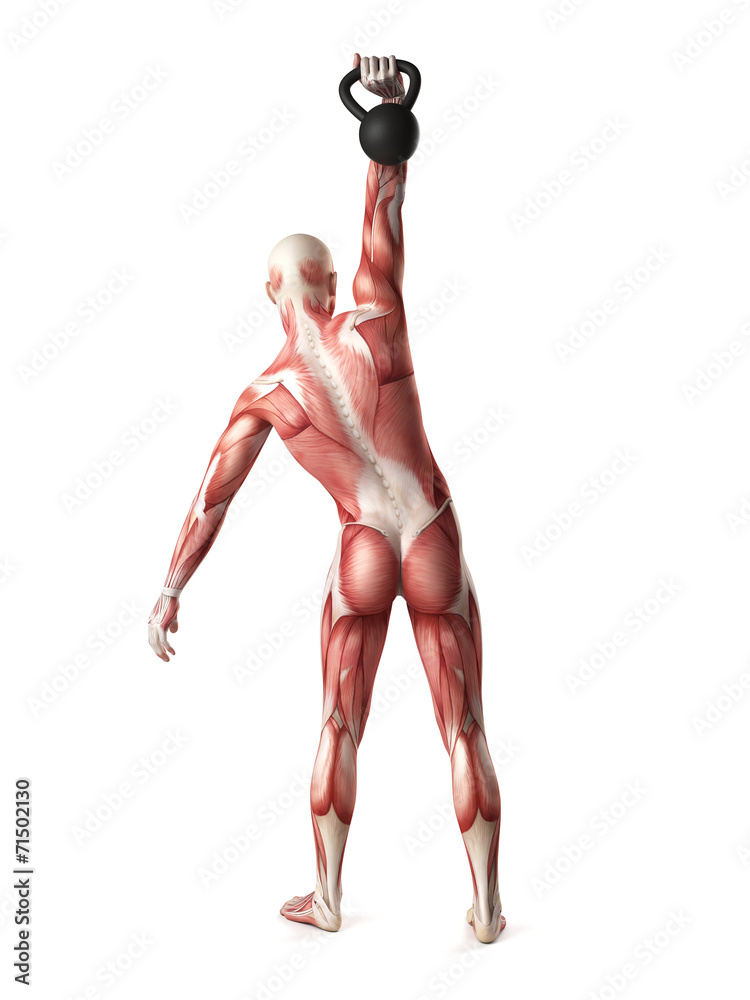 medical 3d illustration of a kettlebell exercise medical 3d illustration of a kettlebell exercise