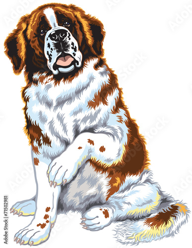 saint bernard dog