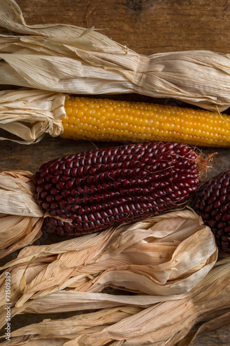 Arrangement of Dried Corn