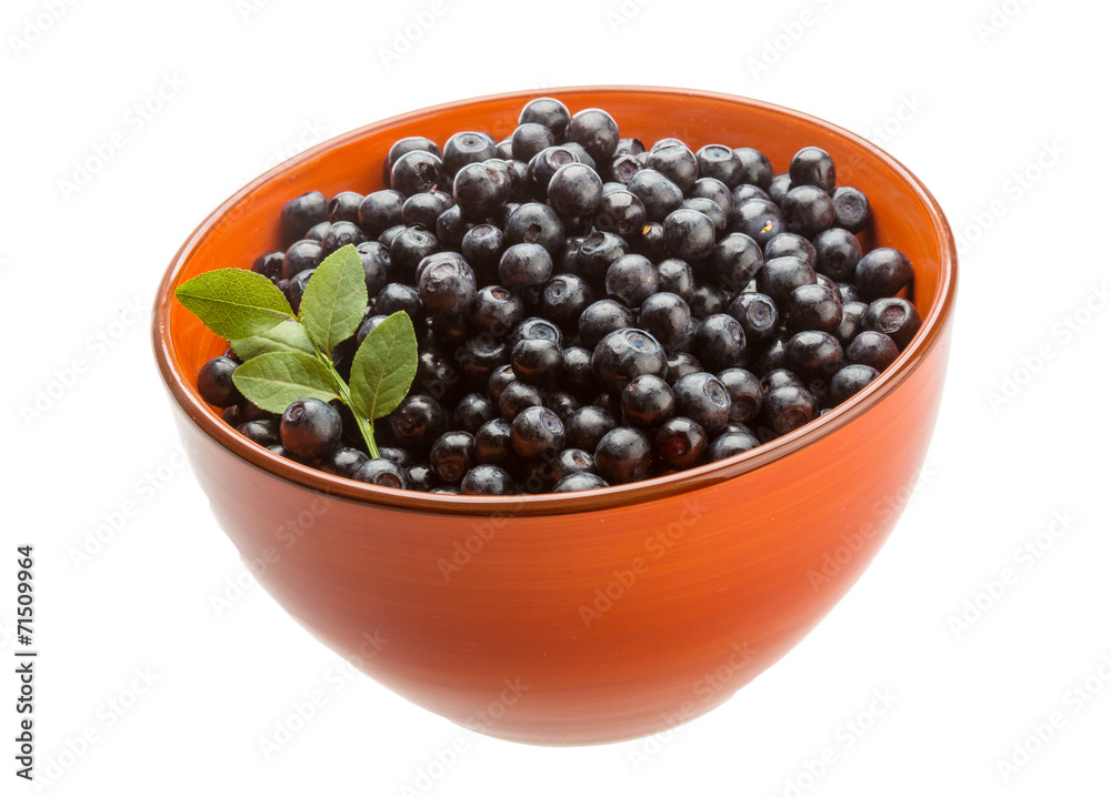 Blueberry Blueberry