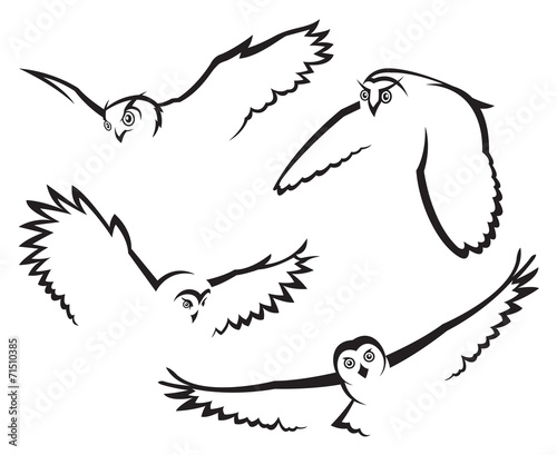 monochrome set of four flying owls