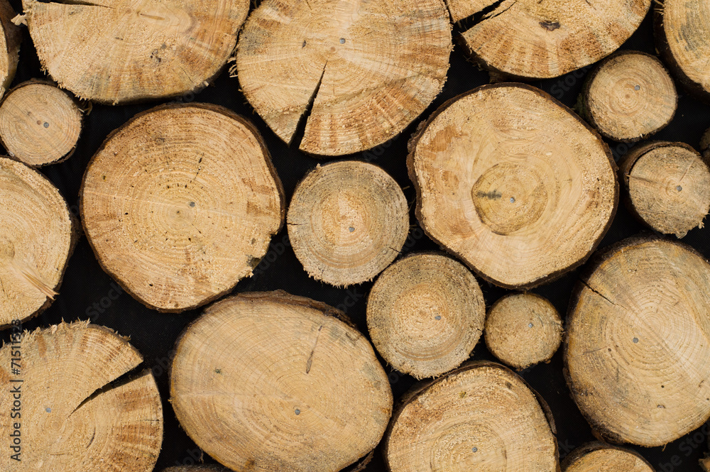 Stacked wooden logs Stacked wooden logs