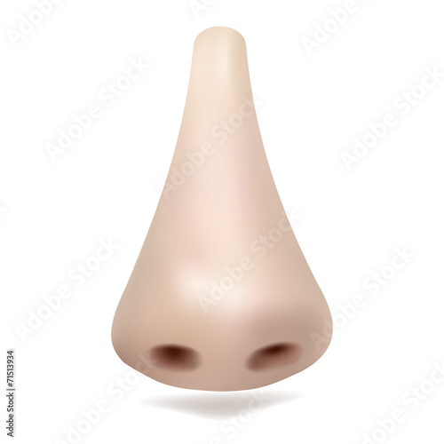 Realistic vector nose on white background