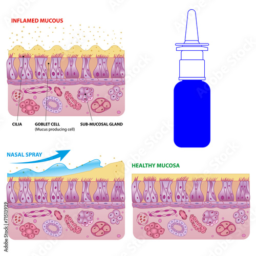 Fotografia Nasal mucosa cells and micro cilia vector scheme