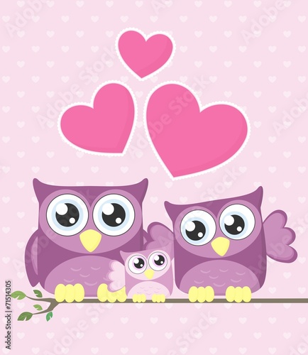 owl baby family