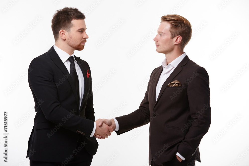 handshake of two businessmen handshake of two businessmen