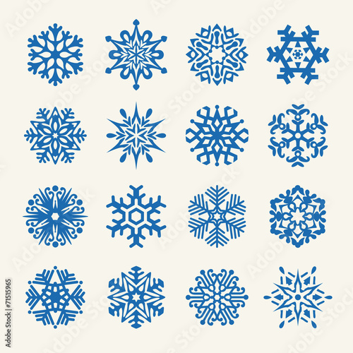 Snowflakes vector collection