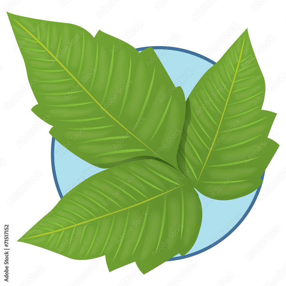 Ταπετσαρία Nature Plant Poison Ivy
