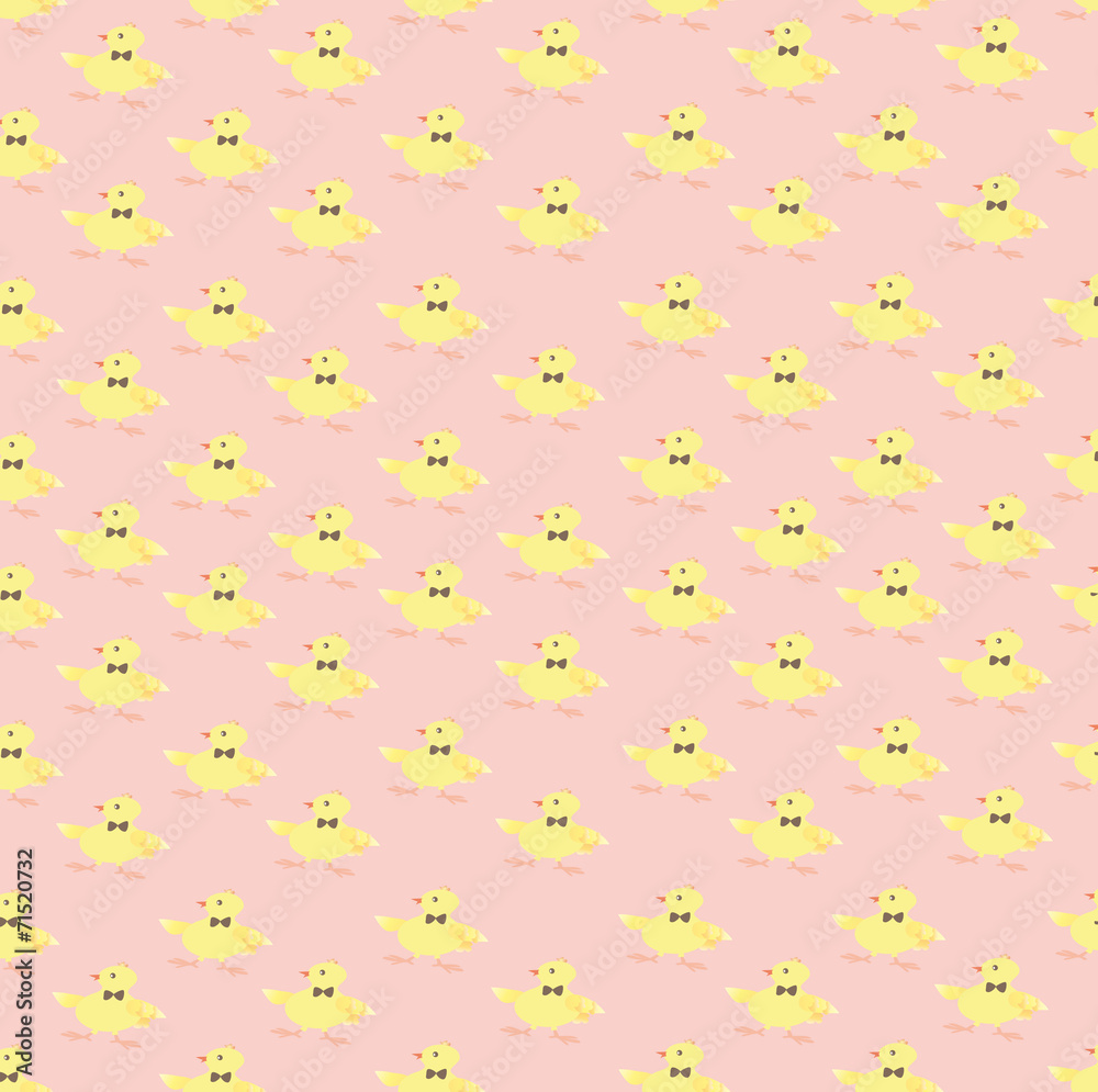 Background of the Chicks Background of the Chicks