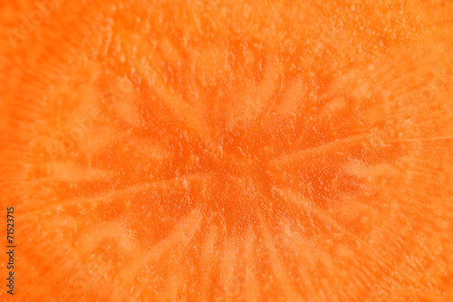 Close up of carrot (macro)