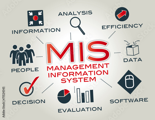 management information system, MIS