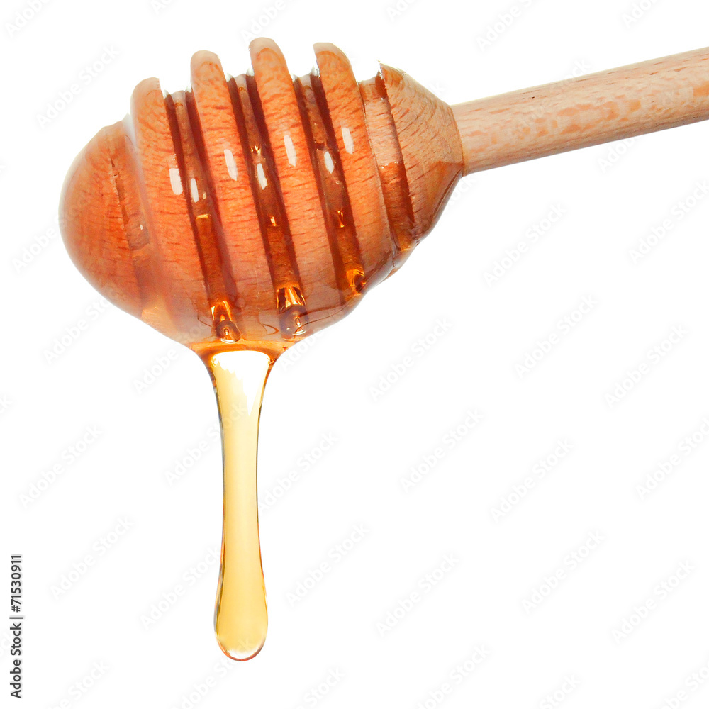 dripping honey dripping honey