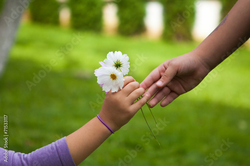 Child's hand giving flowers to her friend photo