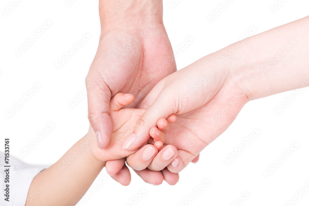 parents hand holding the hands of children isolated on white parents hand holding the hands of children isolated on white