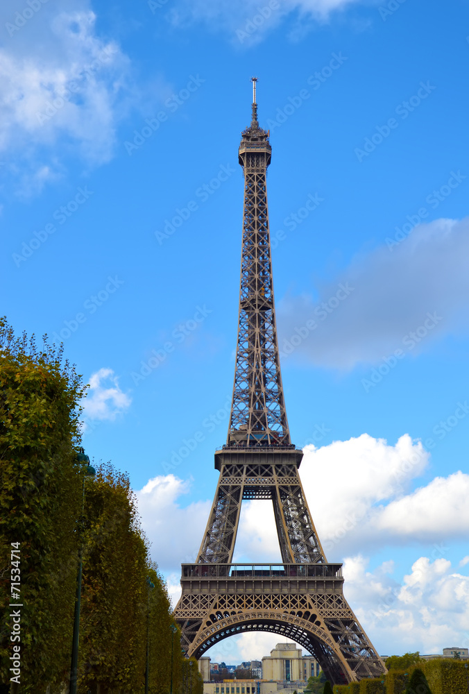 Eiffel Tower in Evening