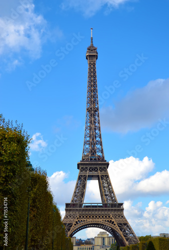 Fototapeta Naklejka Na Ścianę i Meble -  Eiffel Tower in Evening