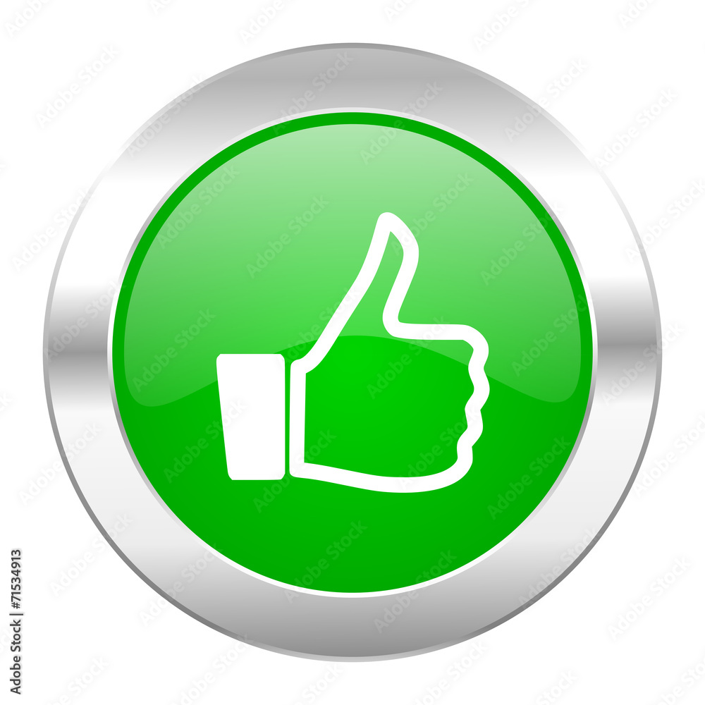 like green circle chrome web icon isolated like green circle chrome web icon isolated