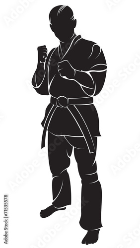 Karate fighter