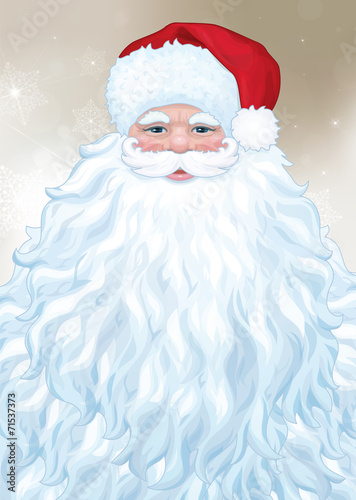 Vector of Santa  Claus with big beard.