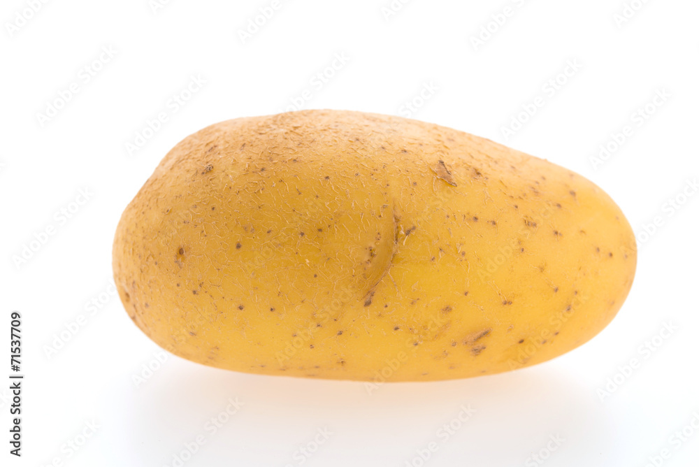 Potato isolated on white background Potato isolated on white background