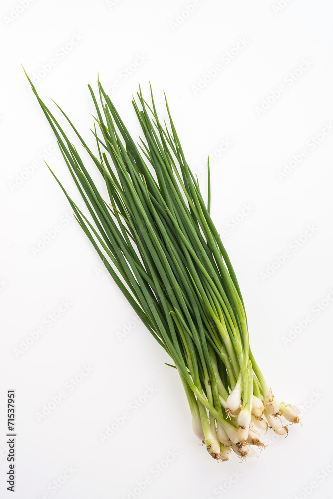 spring onion isolated on white background