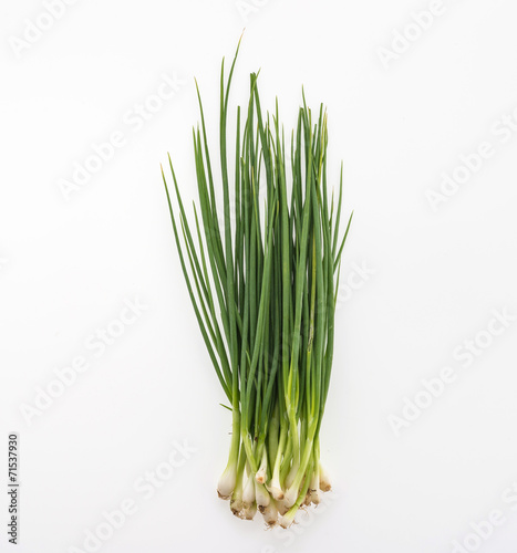 spring onion isolated on white background