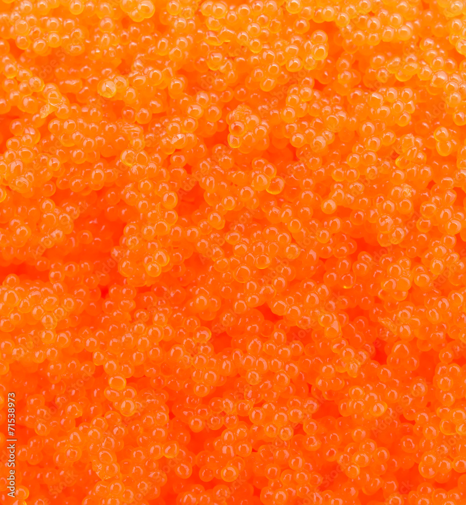 Egg shrimp background Egg shrimp background