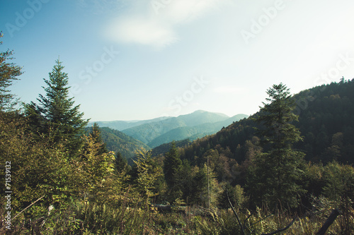 Herbst im Schwarzwald