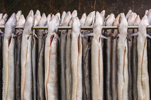 Rack with fresh smoked eel in The Netherlands