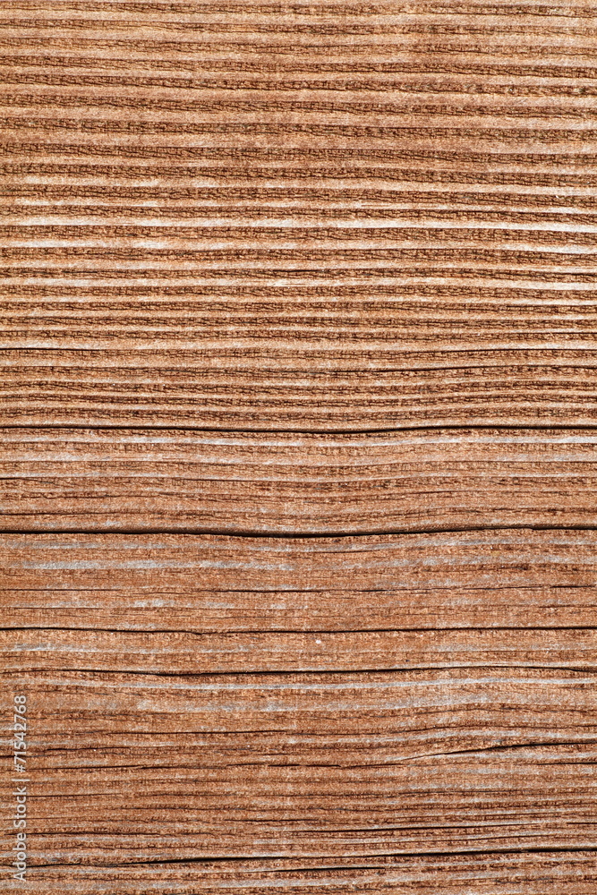 Texture of wood background close - up Texture of wood background close - up