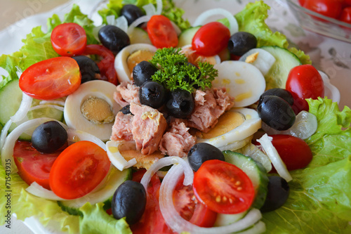 Fresh mixed vegetable salad with tuna and olive oil