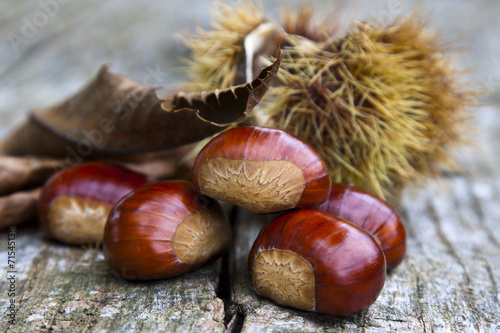 chestnuts closeup on natural background photo