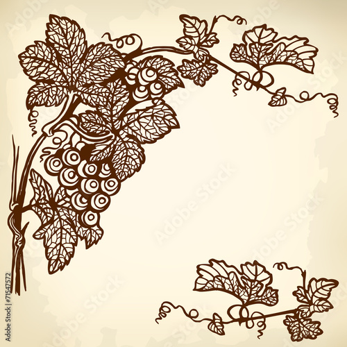 grapes branch