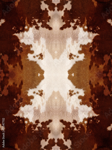 Kaleidoscope Cow Hide Pattern