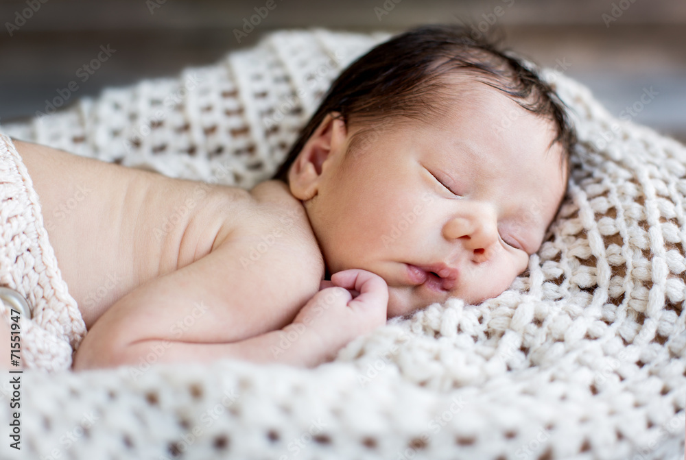 portrait cute newborn baby sleeping portrait cute newborn baby sleeping
