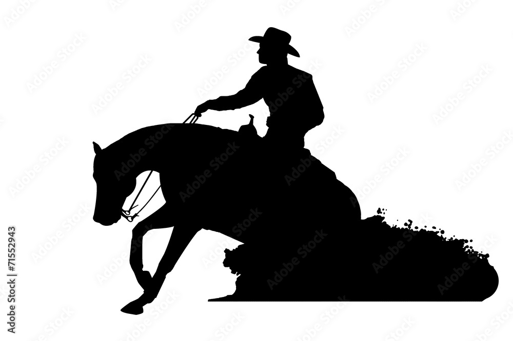 Westernreiten Reining Stock Illustration Adobe Stock