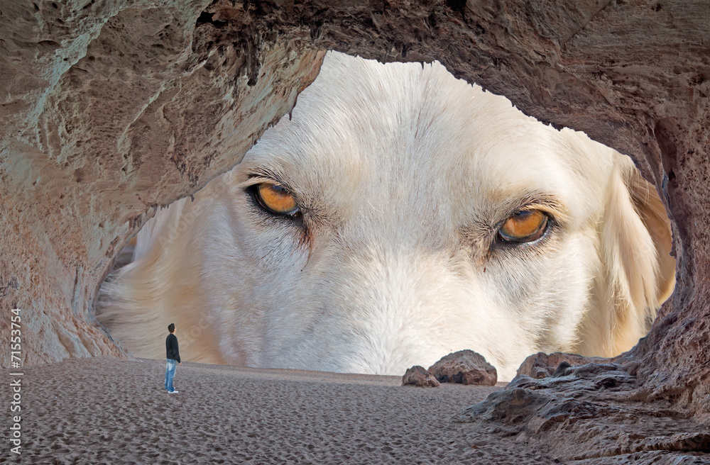 Fototapeta premium huge dog