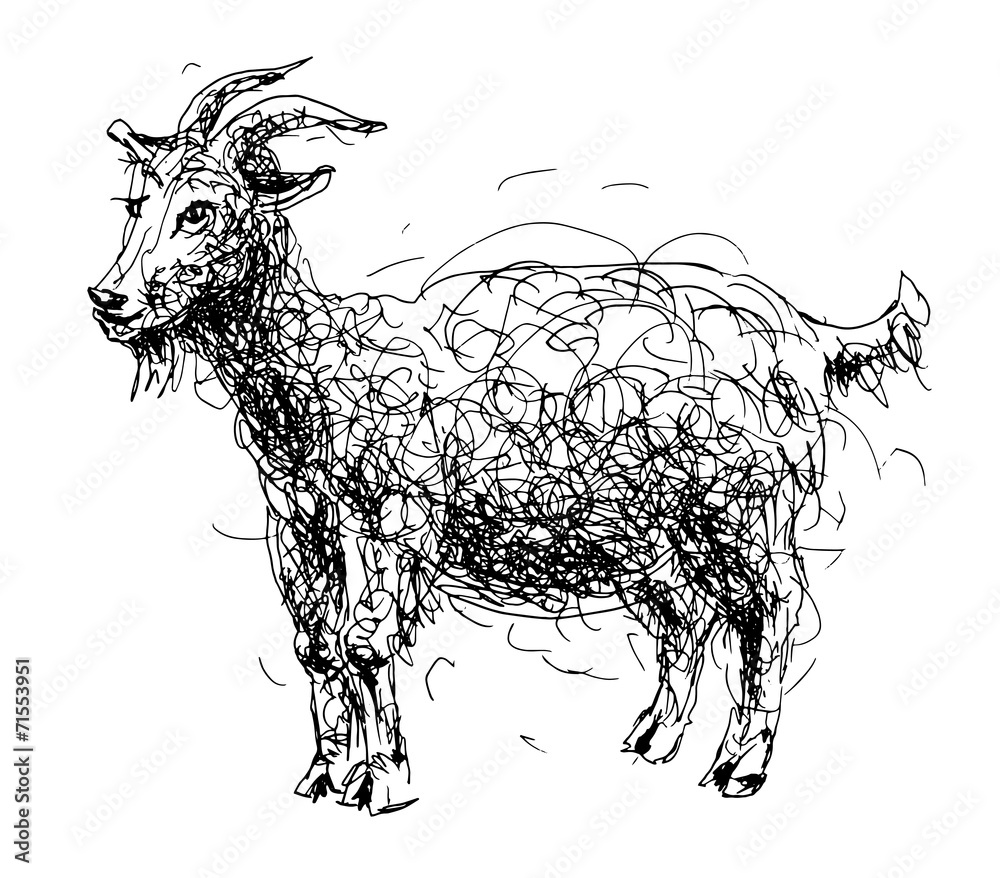 Naklejka sketch doodle drawing of goat or sheep, chinese lunar symbol 201