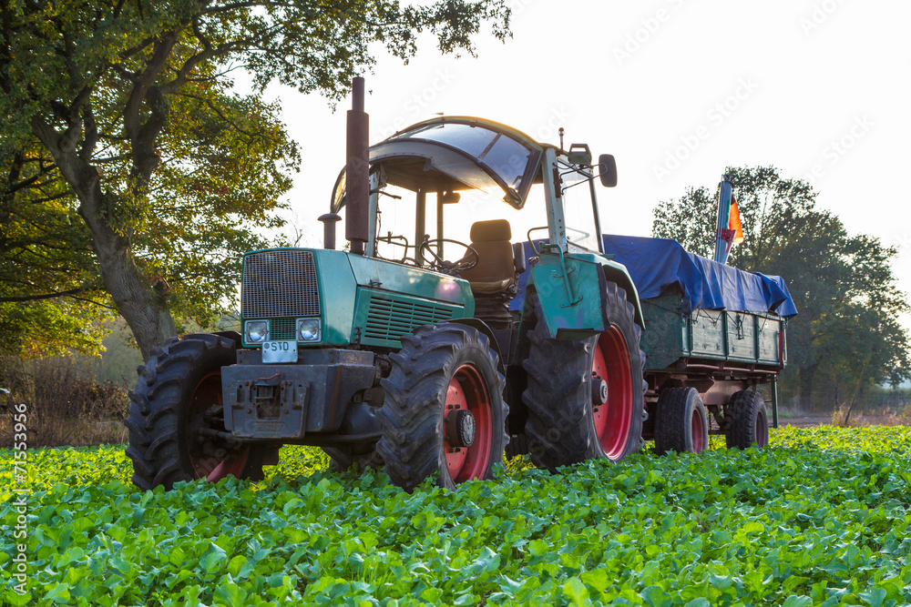 Obraz premium Landwirtschaft