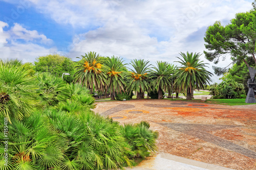 Beautiful landscape of humid tropical jungle.