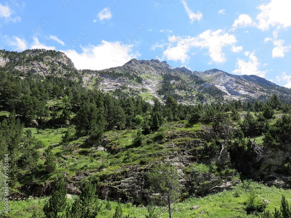 pyrénées pyrénées